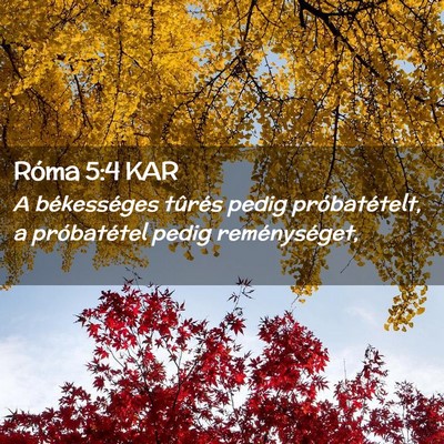 Picture 02 - Róma 5:4 KAR - A békességes tûrés pedig próbatételt, a - Bible Verse Picture