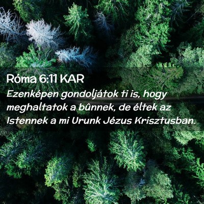Picture 02 - Róma 6:11 KAR - Ezenképen gondoljátok ti is, hogy meghaltatok a - Bible Verse Picture