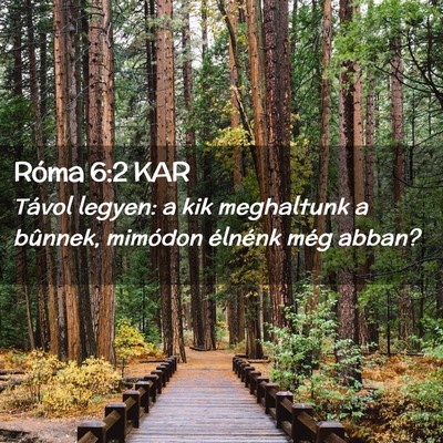 Picture 02 - Róma 6:2 KAR - Távol legyen: a kik meghaltunk a bûnnek, - Bible Verse Picture