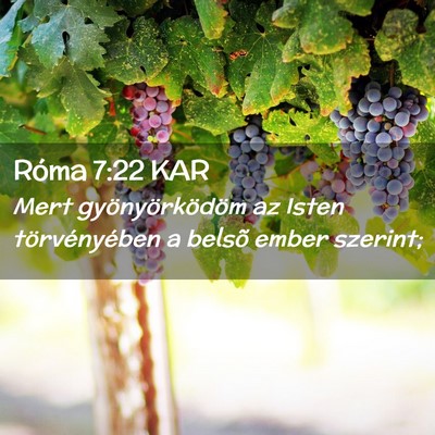 Picture 02 - Róma 7:22 KAR - Mert gyönyörködöm az Isten törvényében a - Bible Verse Picture