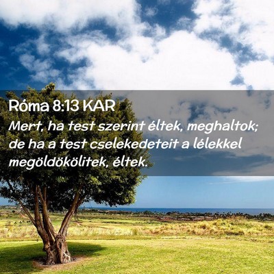 Picture 02 - Róma 8:13 KAR - Mert, ha test szerint éltek, meghaltok; de ha a - Bible Verse Picture