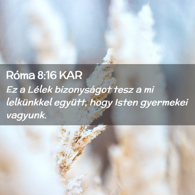 Picture 02 - Róma 8:16 KAR - Ez a Lélek bizonyságot tesz a mi lelkünkkel - Bible Verse Picture