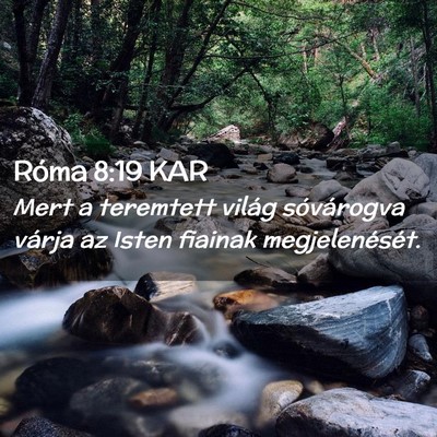 Picture 02 - Róma 8:19 KAR - Mert a teremtett világ sóvárogva várja az - Bible Verse Picture