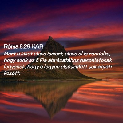 Picture 02 - Róma 8:29 KAR - Mert a kiket eleve ismert, eleve el is rendelte, - Bible Verse Picture