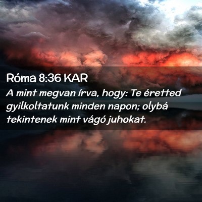 Picture 02 - Róma 8:36 KAR - A mint megvan írva, hogy: Te éretted - Bible Verse Picture