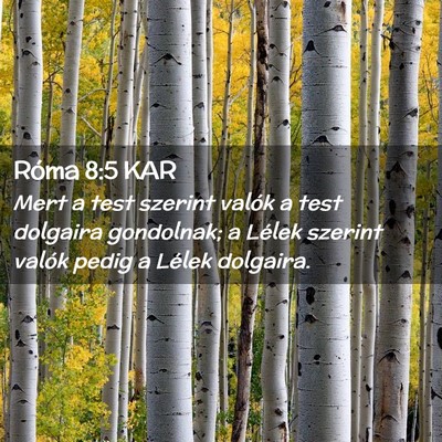 Picture 02 - Róma 8:5 KAR - Mert a test szerint valók a test dolgaira - Bible Verse Picture