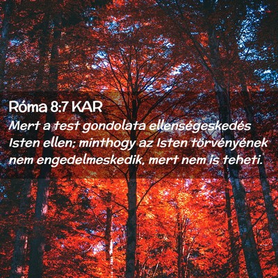 Picture 02 - Róma 8:7 KAR - Mert a test gondolata ellenségeskedés Isten - Bible Verse Picture
