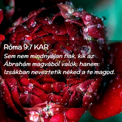 Picture 02 - Róma 9:7 KAR - Sem nem mindnyájan fiak, kik az Ábrahám - Bible Verse Picture