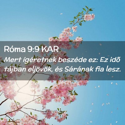 Picture 02 - Róma 9:9 KAR - Mert ígéretnek beszéde ez: Ez idõ tájban - Bible Verse Picture