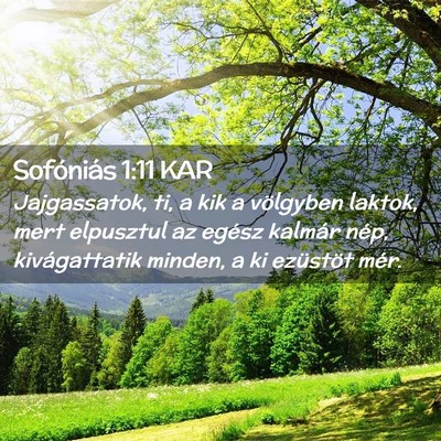 Picture 02 - Sofóniás 1:11 KAR - Jajgassatok, ti, a kik a völgyben laktok, mert - Bible Verse Picture