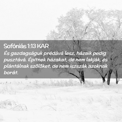 Picture 02 - Sofóniás 1:13 KAR - És gazdagságuk prédává lesz, házaik pedig - Bible Verse Picture