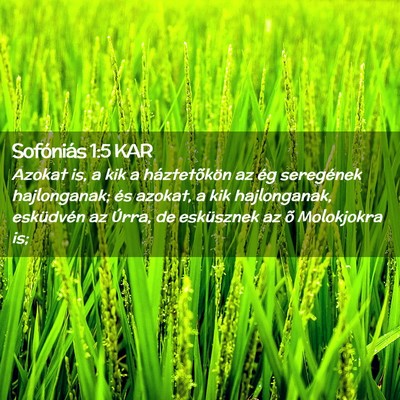 Picture 02 - Sofóniás 1:5 KAR - Azokat is, a kik a háztetõkön az ég - Bible Verse Picture
