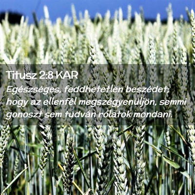 Picture 02 - Titusz 2:8 KAR - Egészséges, feddhetetlen beszédet; hogy az - Bible Verse Picture