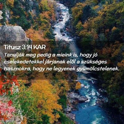 Picture 02 - Titusz 3:14 KAR - Tanulják meg pedig a mieink is, hogy jó - Bible Verse Picture