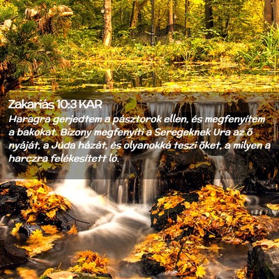 Picture 02 - Zakariás 10:3 KAR - Haragra gerjedtem a pásztorok ellen, és - Bible Verse Picture