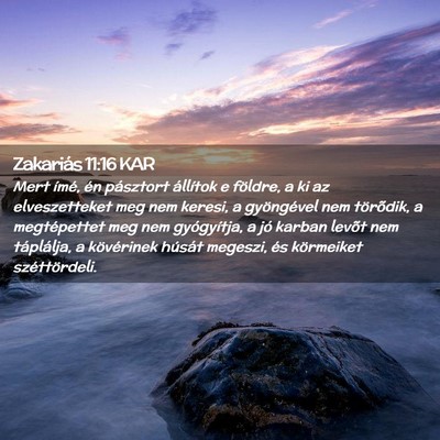 Picture 02 - Zakariás 11:16 KAR - Mert ímé, én pásztort állítok e földre, a - Bible Verse Picture