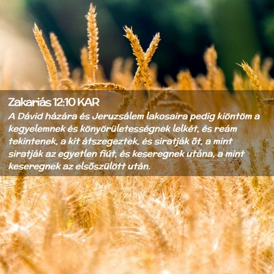 Picture 02 - Zakariás 12:10 KAR - A Dávid házára és Jeruzsálem lakosaira pedig - Bible Verse Picture