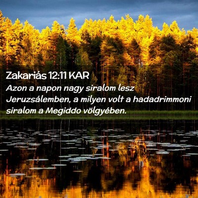 Picture 02 - Zakariás 12:11 KAR - Azon a napon nagy siralom lesz Jeruzsálemben, a - Bible Verse Picture