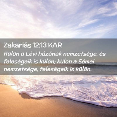 Picture 02 - Zakariás 12:13 KAR - Külön a Lévi házának nemzetsége, és - Bible Verse Picture