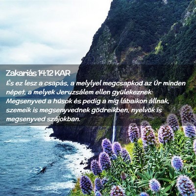 Picture 02 - Zakariás 14:12 KAR - És ez lesz a csapás, a melylyel megcsapkod az - Bible Verse Picture