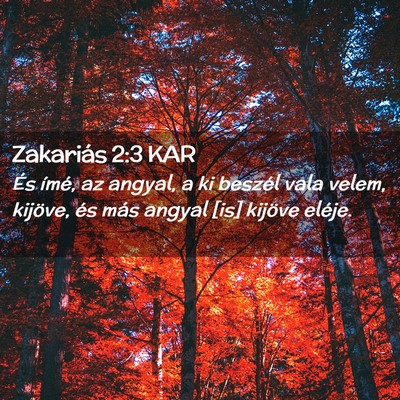 Picture 02 - Zakariás 2:3 KAR - És ímé, az angyal, a ki beszél vala velem, - Bible Verse Picture