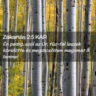 Picture 02 - Zakariás 2:5 KAR - Én pedig, szól az Úr, tûz-fal leszek - Bible Verse Picture