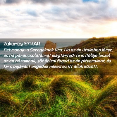 Picture 02 - Zakariás 3:7 KAR - Ezt mondja a Seregeknek Ura: Ha az én útaimban - Bible Verse Picture