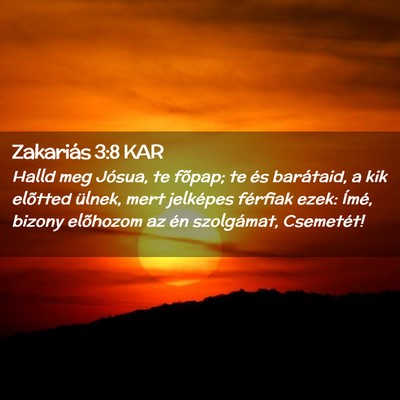 Picture 02 - Zakariás 3:8 KAR - Halld meg Jósua, te fõpap; te és barátaid, a - Bible Verse Picture