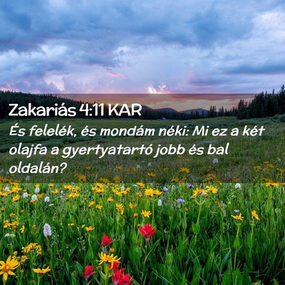 Picture 02 - Zakariás 4:11 KAR - És felelék, és mondám néki: Mi ez a két - Bible Verse Picture