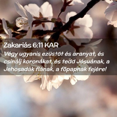 Picture 02 - Zakariás 6:11 KAR - Végy ugyanis ezüstöt és aranyat, és csinálj - Bible Verse Picture