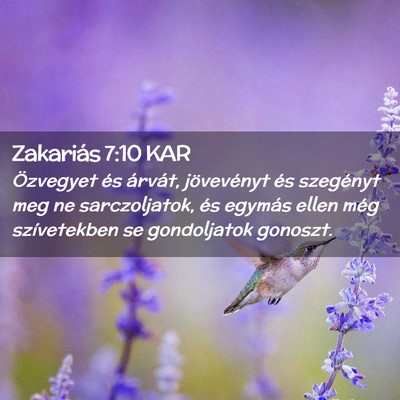Picture 02 - Zakariás 7:10 KAR - Özvegyet és árvát, jövevényt és szegényt - Bible Verse Picture