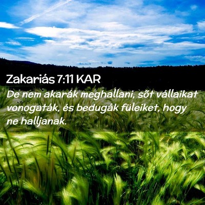 Picture 02 - Zakariás 7:11 KAR - De nem akarák meghallani, sõt vállaikat - Bible Verse Picture