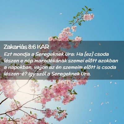 Picture 02 - Zakariás 8:6 KAR - Ezt mondja a Seregeknek Ura: Ha [ez] csoda - Bible Verse Picture