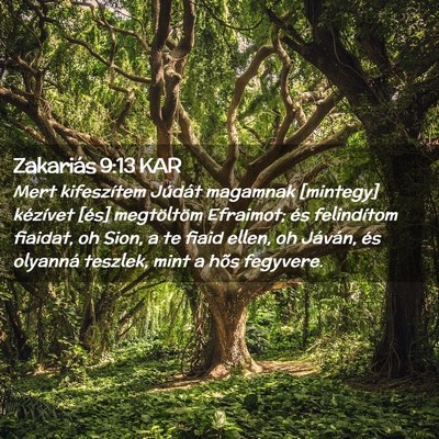 Picture 02 - Zakariás 9:13 KAR - Mert kifeszítem Júdát magamnak [mintegy] - Bible Verse Picture