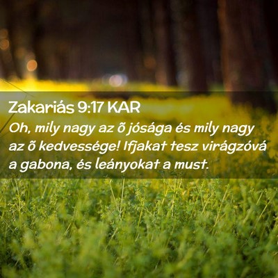 Picture 02 - Zakariás 9:17 KAR - Oh, mily nagy az õ jósága és mily nagy az õ - Bible Verse Picture