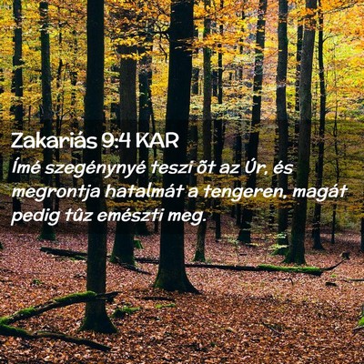Picture 02 - Zakariás 9:4 KAR - Ímé szegénynyé teszi õt az Úr, és - Bible Verse Picture