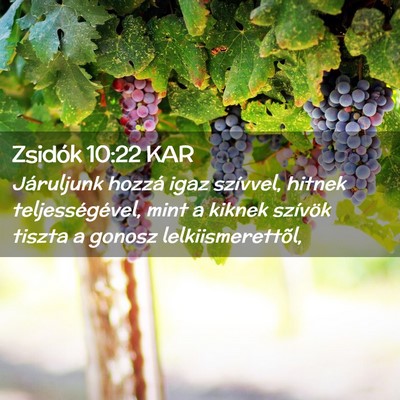 Picture 02 - Zsidók 10:22 KAR - Járuljunk hozzá igaz szívvel, hitnek - Bible Verse Picture