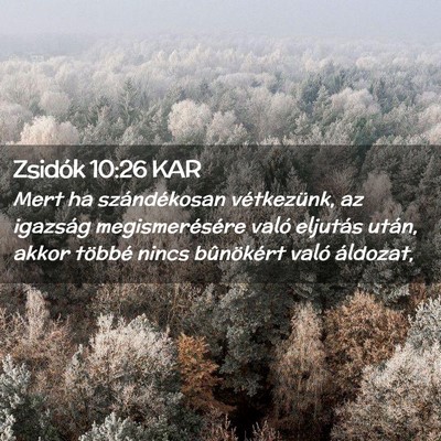 Picture 02 - Zsidók 10:26 KAR - Mert ha szándékosan vétkezünk, az igazság - Bible Verse Picture