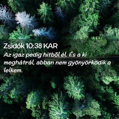 Picture 02 - Zsidók 10:38 KAR - Az igaz pedig hitbõl él. És a ki meghátrál, - Bible Verse Picture