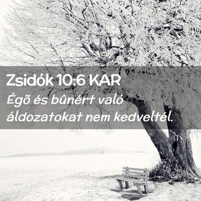 Picture 02 - Zsidók 10:6 KAR - Égõ és bûnért való áldozatokat nem - Bible Verse Picture