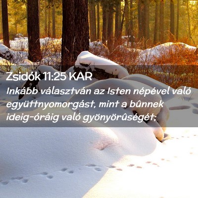 Picture 02 - Zsidók 11:25 KAR - Inkább választván az Isten népével való - Bible Verse Picture