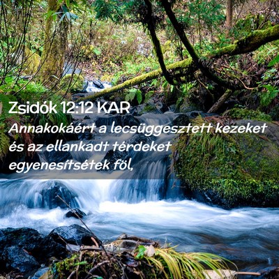 Picture 02 - Zsidók 12:12 KAR - Annakokáért a lecsüggesztett kezeket és az - Bible Verse Picture