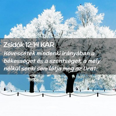 Picture 02 - Zsidók 12:14 KAR - Kövessétek mindenki irányában a békességet - Bible Verse Picture