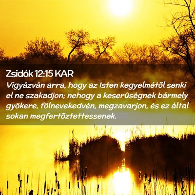 Picture 02 - Zsidók 12:15 KAR - Vigyázván arra, hogy az Isten kegyelmétõl - Bible Verse Picture