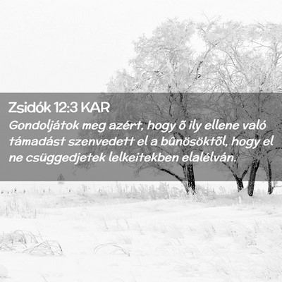 Picture 02 - Zsidók 12:3 KAR - Gondoljátok meg azért, hogy õ ily ellene való - Bible Verse Picture
