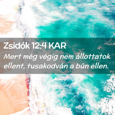Picture 02 - Zsidók 12:4 KAR - Mert még végig nem állottatok ellent, - Bible Verse Picture