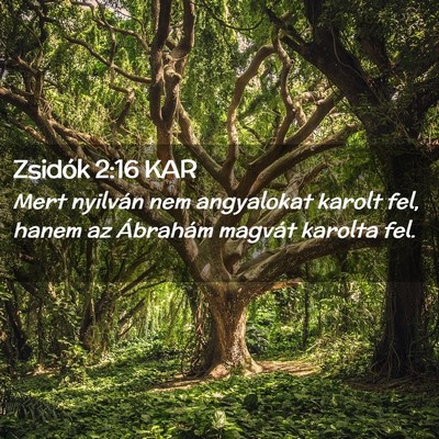 Picture 02 - Zsidók 2:16 KAR - Mert nyilván nem angyalokat karolt fel, hanem az - Bible Verse Picture