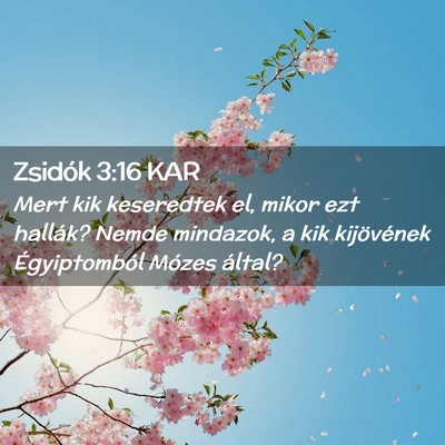 Picture 02 - Zsidók 3:16 KAR - Mert kik keseredtek el, mikor ezt hallák? Nemde - Bible Verse Picture