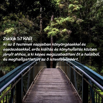 Picture 02 - Zsidók 5:7 KAR - Ki az õ testének napjaiban könyörgésekkel - Bible Verse Picture