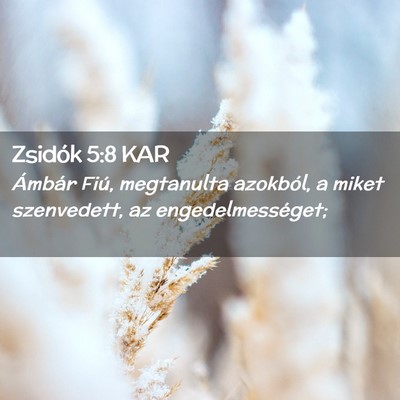 Picture 02 - Zsidók 5:8 KAR - Ámbár Fiú, megtanulta azokból, a miket - Bible Verse Picture